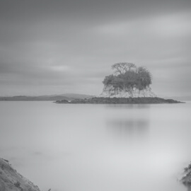 gallery-foto
