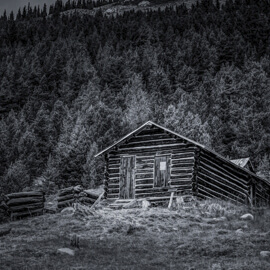 gallery-foto